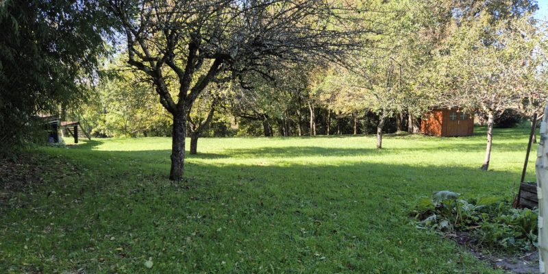 Photographie : 20251002_125240