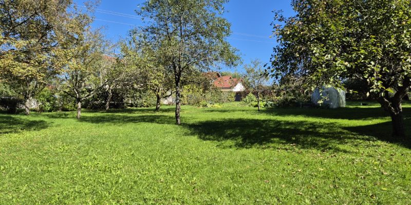 Photographie : 20251002_125855