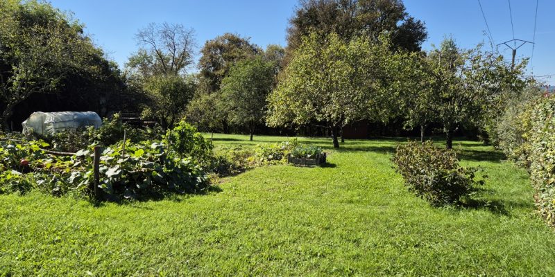 Photographie : 20251002_130004