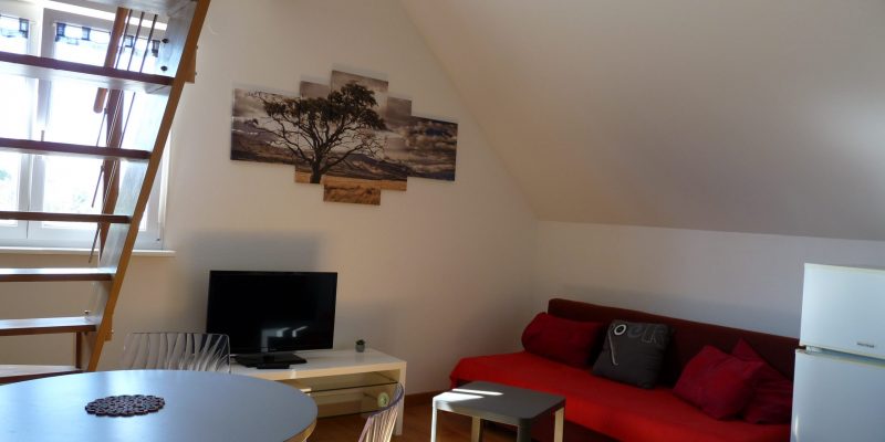 Photographie : P1050102