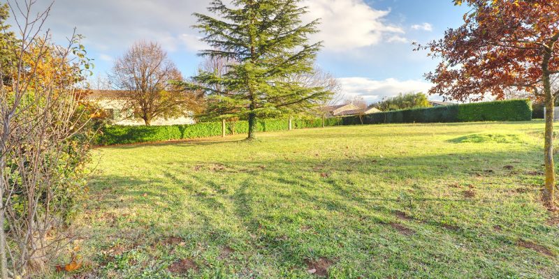 Photographie : VT278_1_original