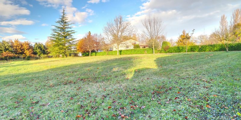 Photographie : VT278_4_original