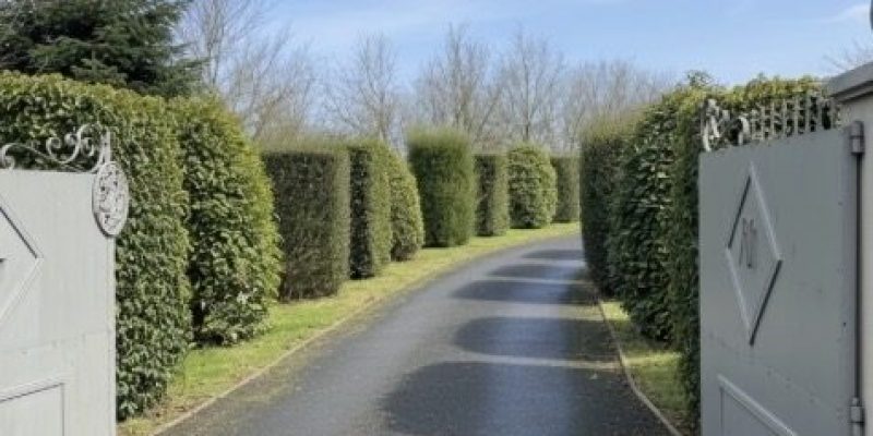 Photographie : VM2196_2_original