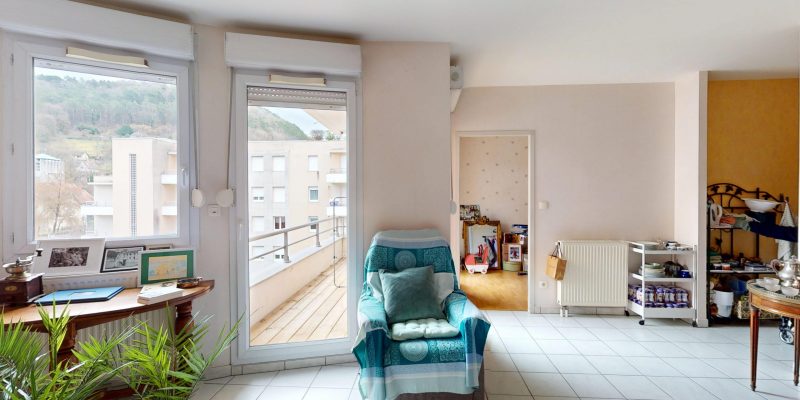 Photographie : Allee-de-lIle-aux-Moineaux-02102026_152756