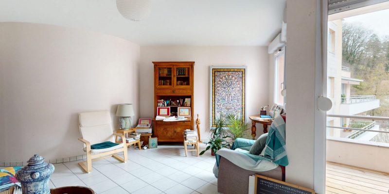 Photographie : Allee-de-lIle-aux-Moineaux-02102026_152853