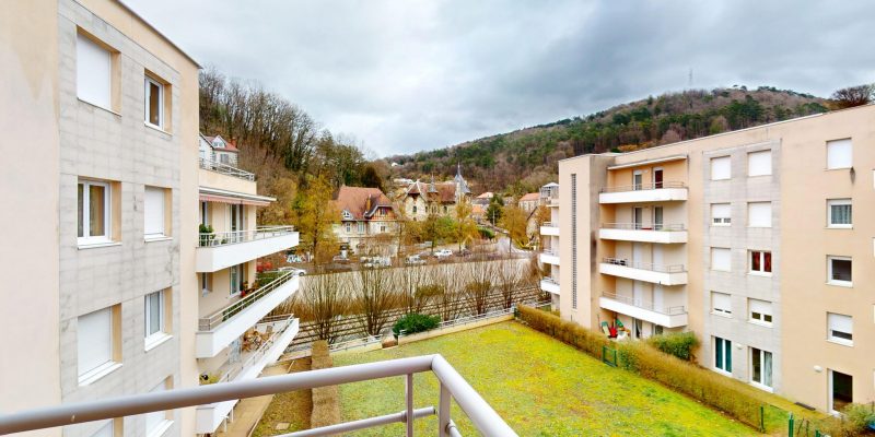 Photographie : Allee-de-lIle-aux-Moineaux-02102026_153129