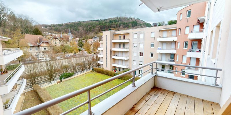 Photographie : Allee-de-lIle-aux-Moineaux-02102026_153303