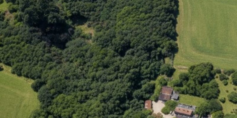 Photographie : VM2211_1_original