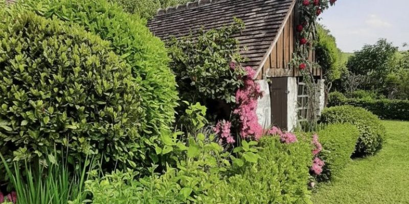 Photographie : VM2211_7_original