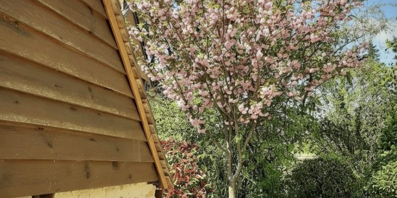 Photographie : VM2211_8_original