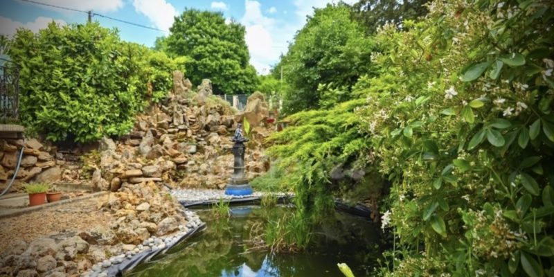 Photographie : VM2215_25_original