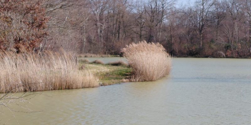 Photographie : VT286_1_original