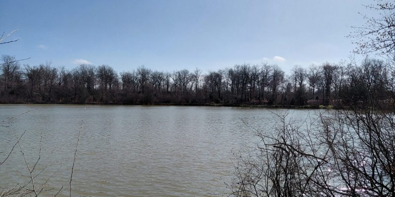 Photographie : VT286_2_original