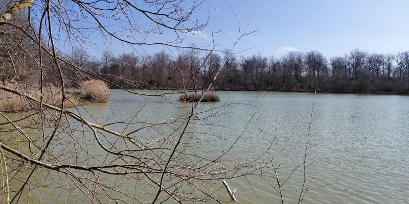 Photographie : VT286_3_original