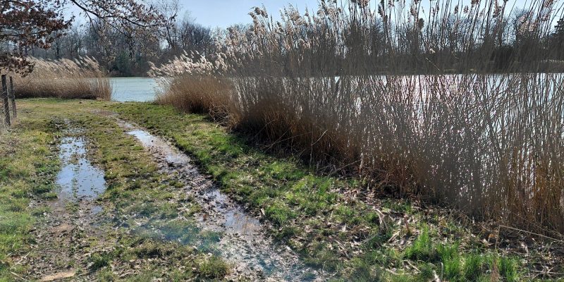 Photographie : VT286_4_original