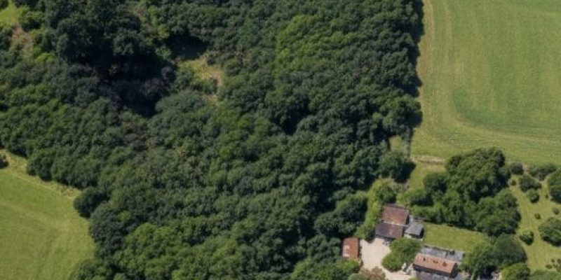 Photographie : 17711904412_VM2211_1_original