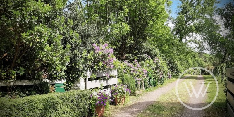 Photographie : 17711904422_VM2211_3_original