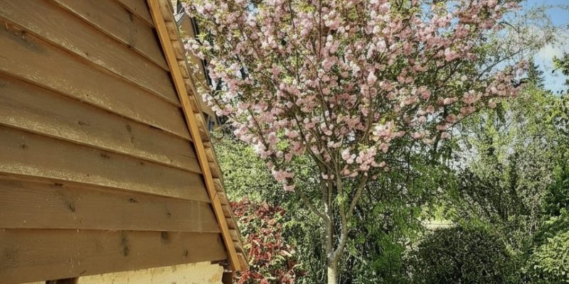 Photographie : 17711904442_VM2211_8_original