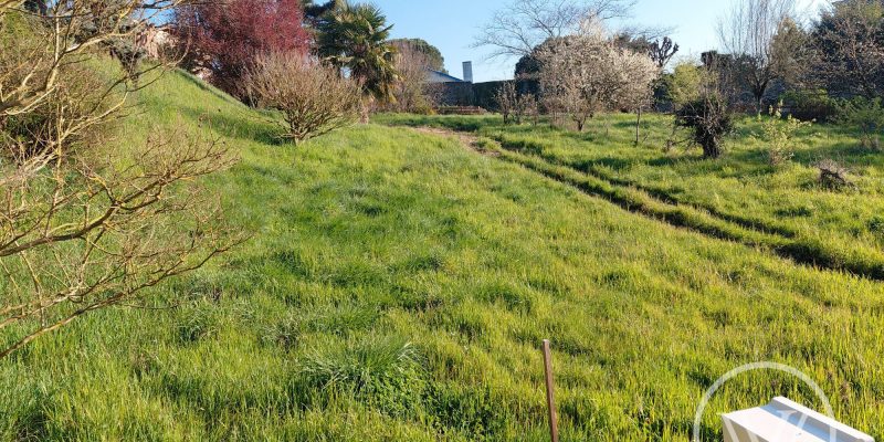 Photographie : 17742823662_VT289_3_original