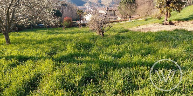 Photographie : 17742824602_VT289_5_original