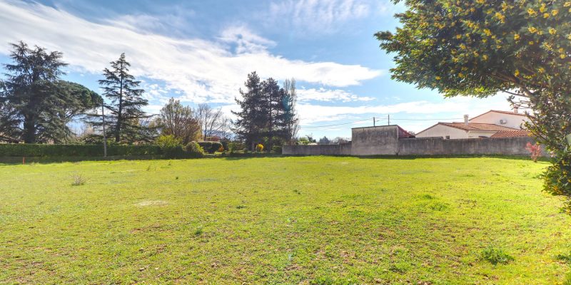 Photographie : VT287_8_original