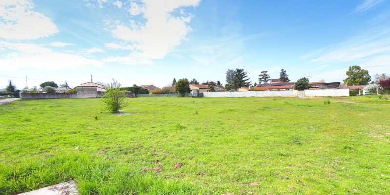 Photographie : VT288_6_original