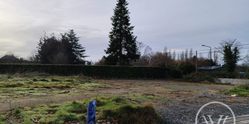 Photographie : 17659822562_VT281_5_original