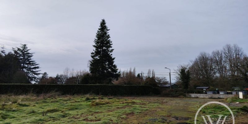 Photographie : 17659822572_VT281_6_original