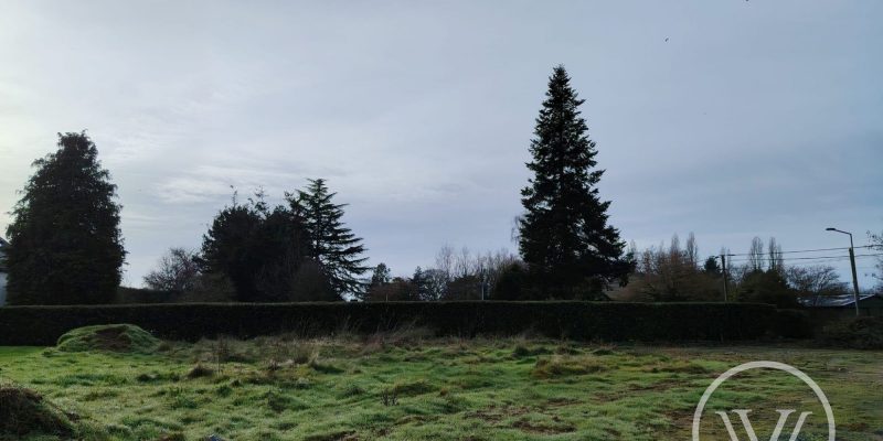 Photographie : 17659822592_VT281_7_original