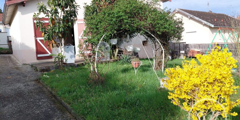 Photographie : 17732391562_VM2228_1_original