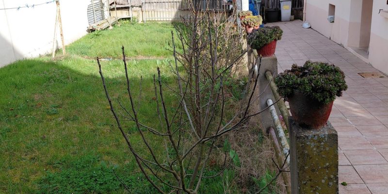 Photographie : 17732391632_VM2228_4_original