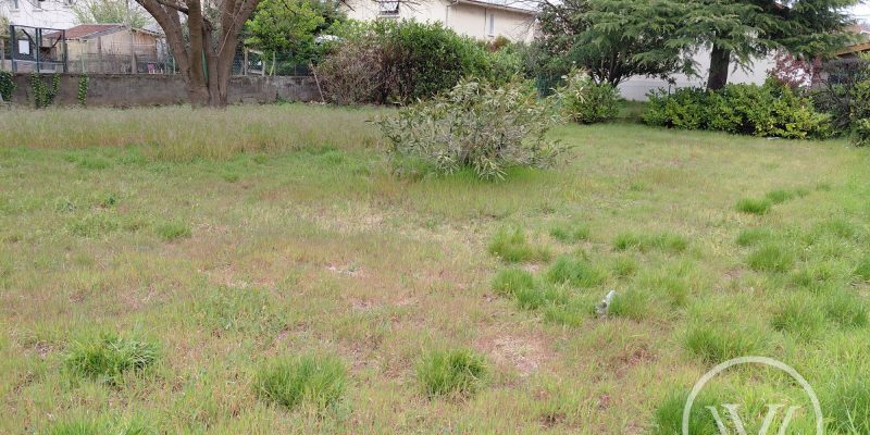 Photographie : 17748933272_VT290_2_original