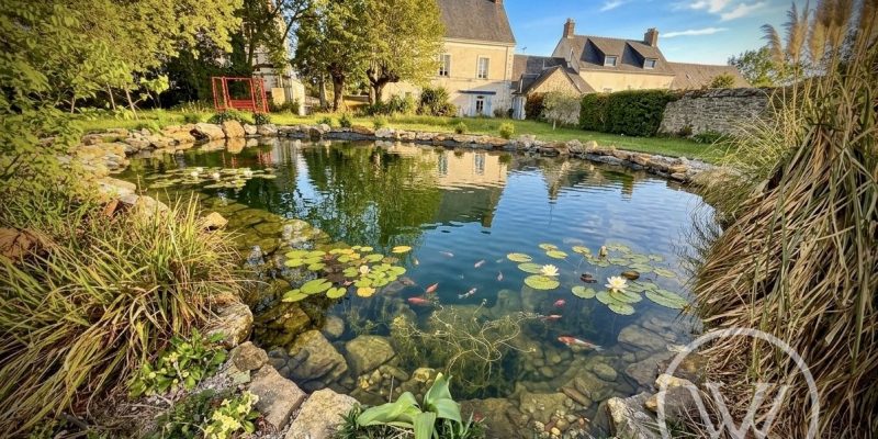 Photographie : 17770367042_VM2241_2_original