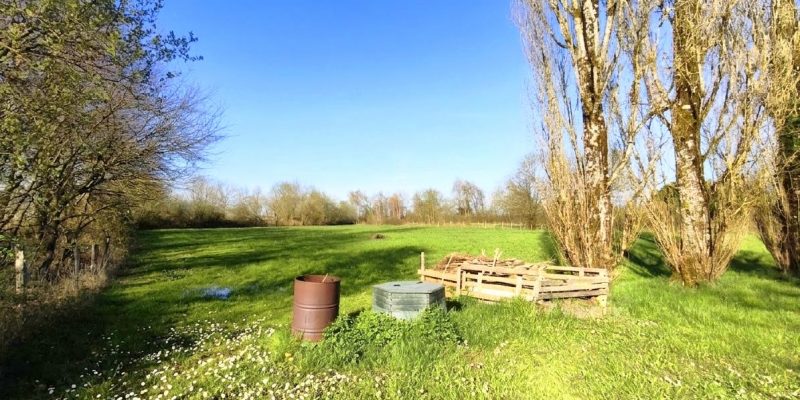 Photographie : IMG_0799